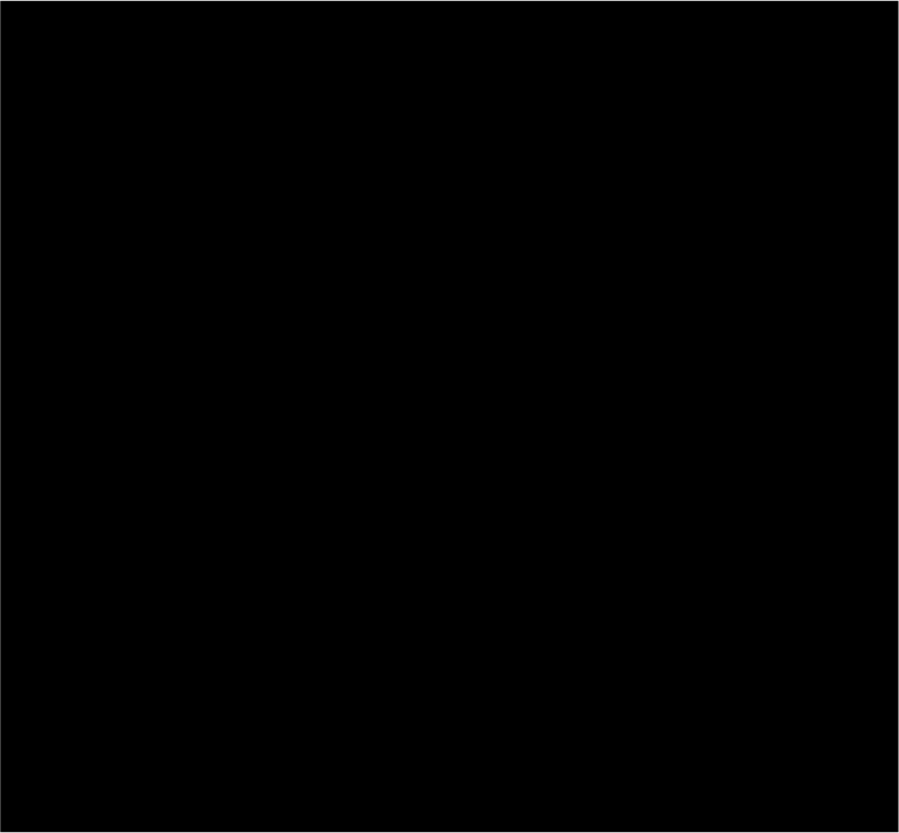 Asset 4 (1)